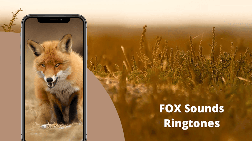 Fox Sounds - Image screenshot of android app