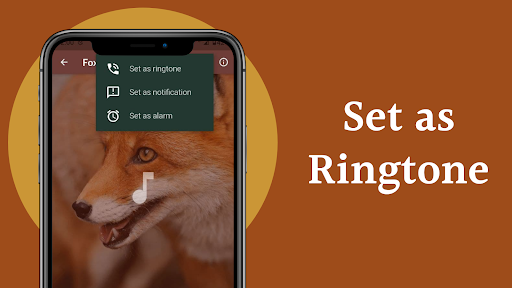 Fox Sounds for Android - Download | Cafe Bazaar Fox Sounds for Android - Download | Cafe Bazaar
