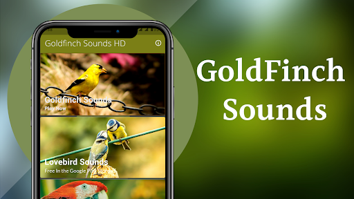 Goldfinch Sounds - Image screenshot of android app