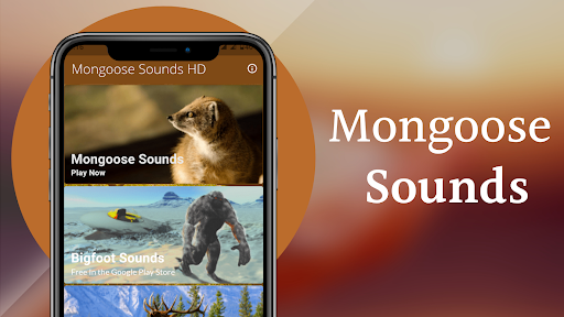 Mongoose Sounds - Image screenshot of android app