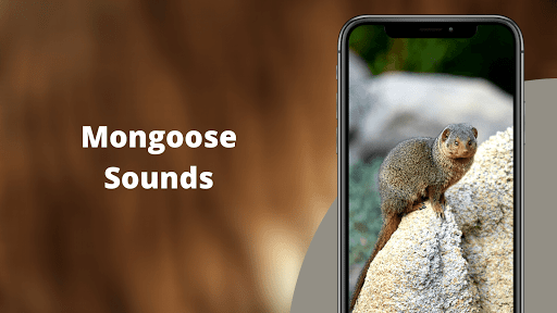 Mongoose Sounds - Image screenshot of android app