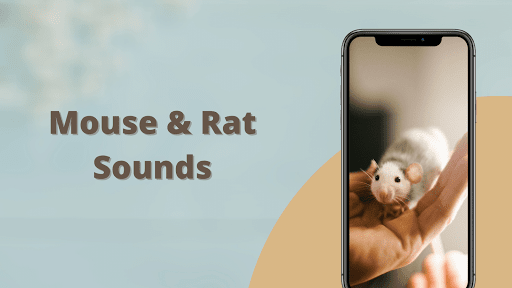 Mouse and Rat sounds - عکس برنامه موبایلی اندروید