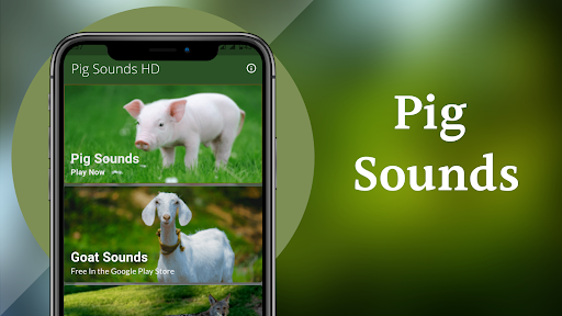 Pig Sounds - عکس برنامه موبایلی اندروید