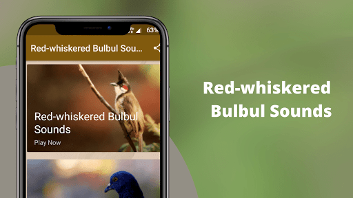 Red-whiskered Bulbul Sounds - عکس برنامه موبایلی اندروید