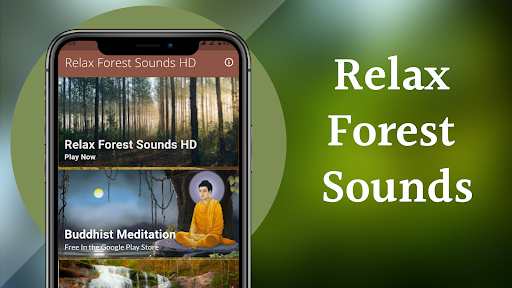 Relax Forest Sounds - Nature Sound for sleep - عکس برنامه موبایلی اندروید