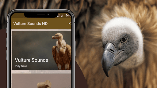 Vulture Sounds - Image screenshot of android app