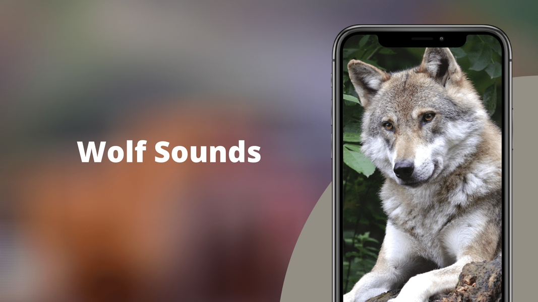 Wolf Sounds - Image screenshot of android app