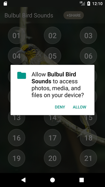 Bulbul Bird: Sounds, Ringtones - Image screenshot of android app