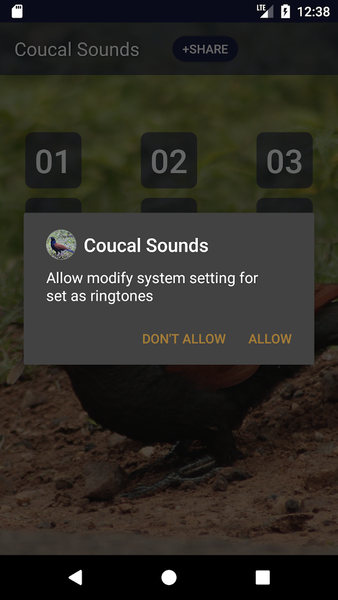 Coucal Bird: Sound & Ringtones - عکس برنامه موبایلی اندروید