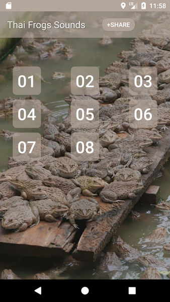Thai Frog Sounds - Image screenshot of android app