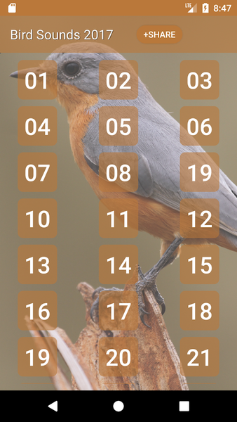 Bird Sounds and Ringtones - Image screenshot of android app