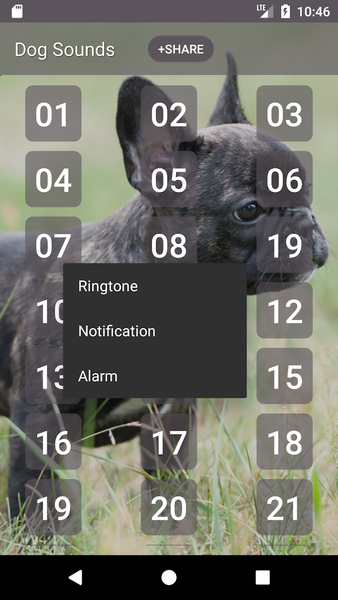 Dog: Sounds & Ringtones - Image screenshot of android app