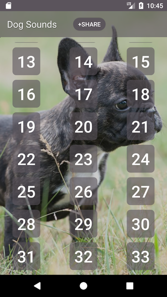 Dog Soundboard - Image screenshot of android app