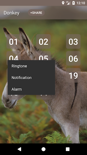 Donkey sounds - عکس برنامه موبایلی اندروید
