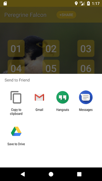Peregrine Falcon: Sounds - عکس برنامه موبایلی اندروید