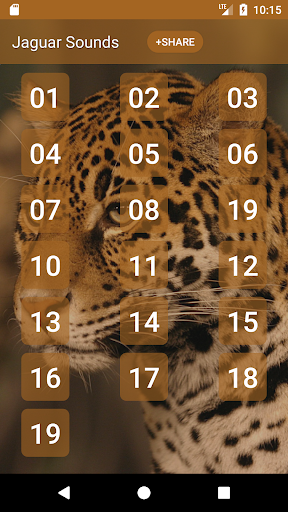 Jaguar Sounds - Image screenshot of android app