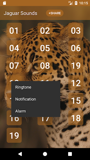 Jaguar Sounds - عکس برنامه موبایلی اندروید