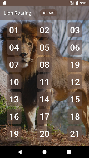 Lion Roaring Sounds - عکس برنامه موبایلی اندروید