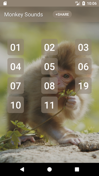 Monkey Sounds - عکس برنامه موبایلی اندروید