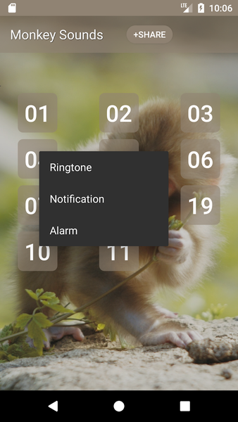 Monkey Sounds - Image screenshot of android app