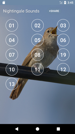 Nightingale: Bird Sounds - Image screenshot of android app