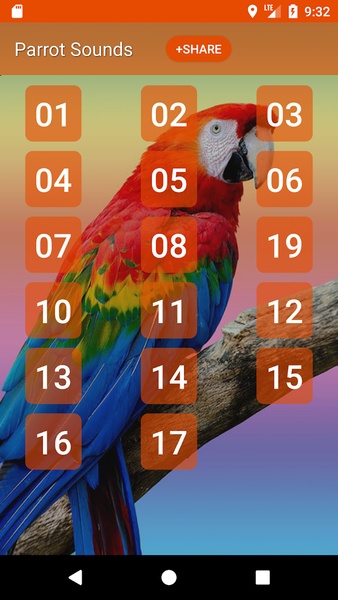 Parrot Sounds & Ringtones - Image screenshot of android app