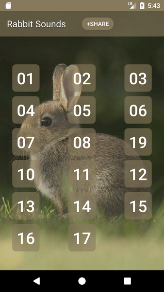 Rabbit and Bunny Sounds - عکس برنامه موبایلی اندروید