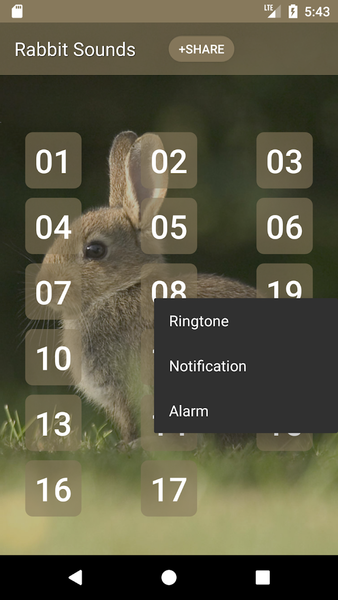Rabbit and Bunny Sounds - عکس برنامه موبایلی اندروید