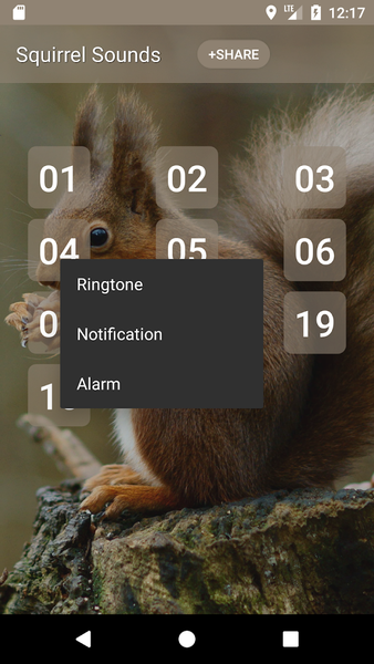 Squirrel Sounds - Image screenshot of android app