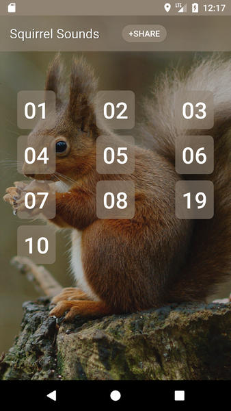 Squirrel Sounds - Image screenshot of android app