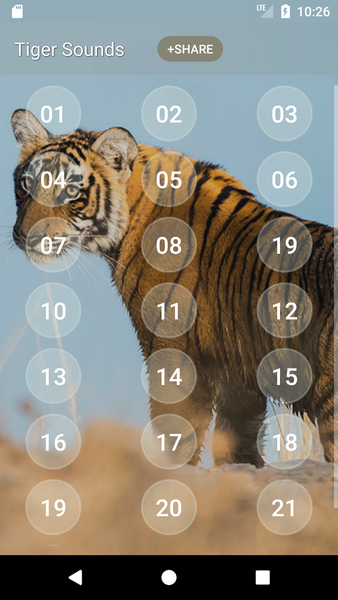 Tiger Sounds - Image screenshot of android app