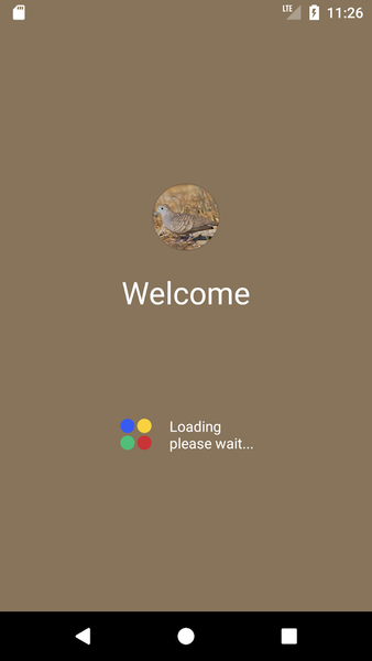 Zebra dove Sound - Image screenshot of android app
