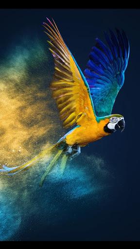 SP File Explorer - عکس برنامه موبایلی اندروید