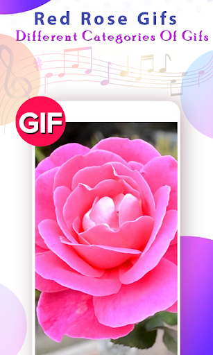 Rose GIF - عکس برنامه موبایلی اندروید