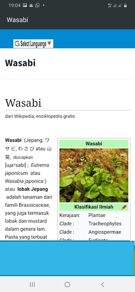 Spices A-Z - Image screenshot of android app