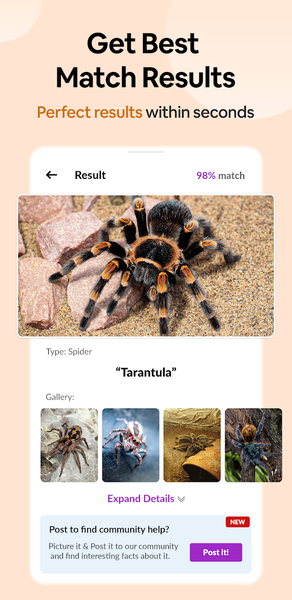 Spider Identifier: Insect ID - عکس برنامه موبایلی اندروید