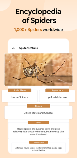 Spider Identifier: Insect ID - عکس برنامه موبایلی اندروید