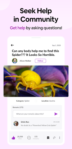 Spider Identifier: Insect ID - عکس برنامه موبایلی اندروید