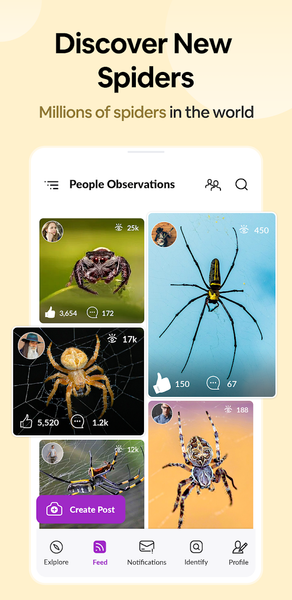 Spider Identifier: Insect ID - عکس برنامه موبایلی اندروید