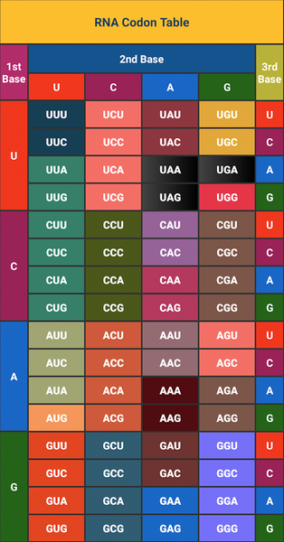 RNA Codon Table (Genetic Code - Image screenshot of android app