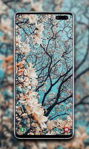 Spring Wallpaper - عکس برنامه موبایلی اندروید
