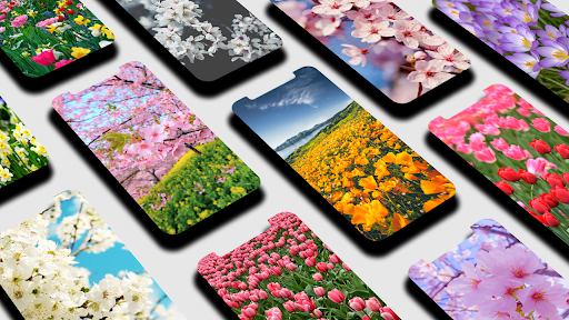 Spring Wallpaper - Image screenshot of android app