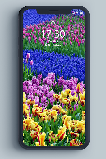 Spring Wallpaper - Image screenshot of android app