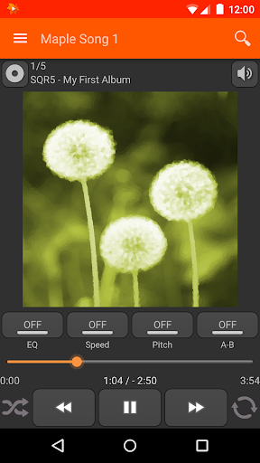 Maple Player JB - Image screenshot of android app