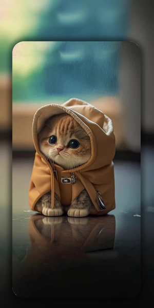 Cute Cat Wallpaper Live HD ۴K - عکس برنامه موبایلی اندروید