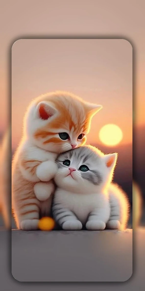 Cute Cat Wallpaper Live HD ۴K - عکس برنامه موبایلی اندروید