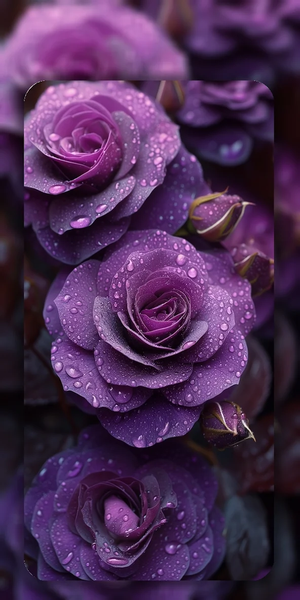 Flower Wallpapers 4K - Image screenshot of android app