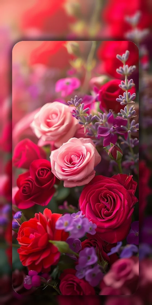 Rosely Rose Wallpaper Live HD - Image screenshot of android app