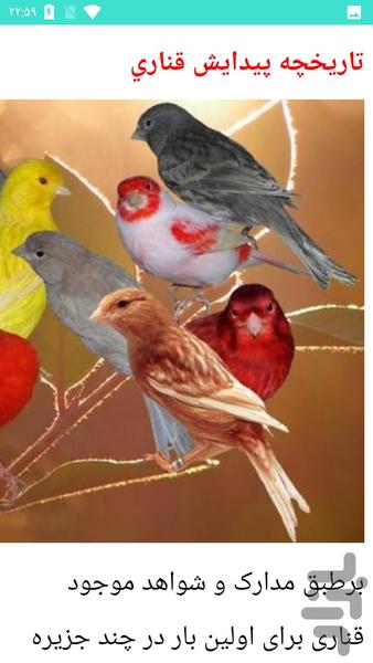 پرورش قناری - عکس برنامه موبایلی اندروید