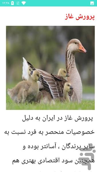 غاز را پرورش بده - عکس برنامه موبایلی اندروید
